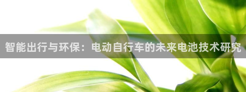 k豆钱包下载不了