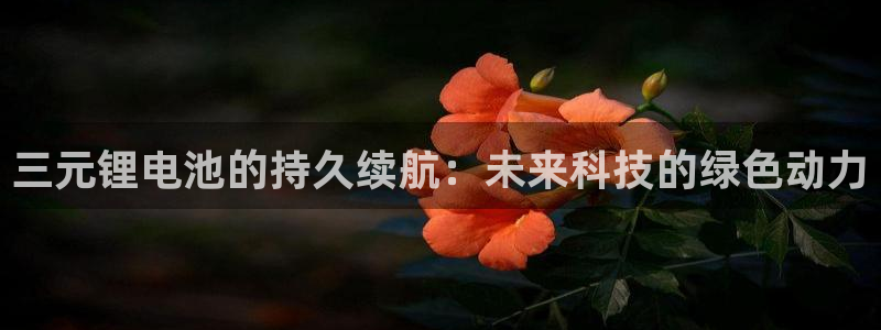 k豆钱包1.0.92