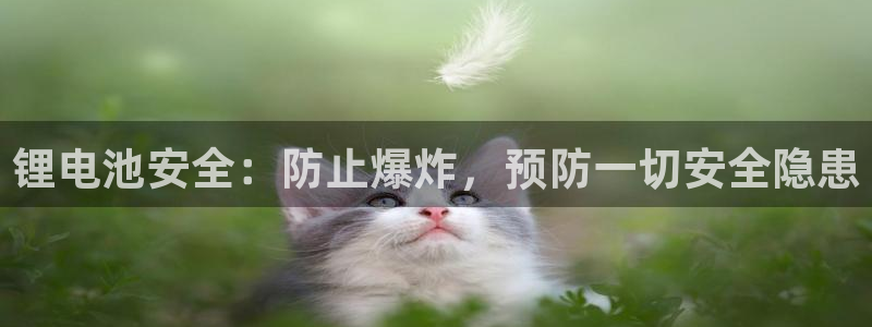 k豆钱包