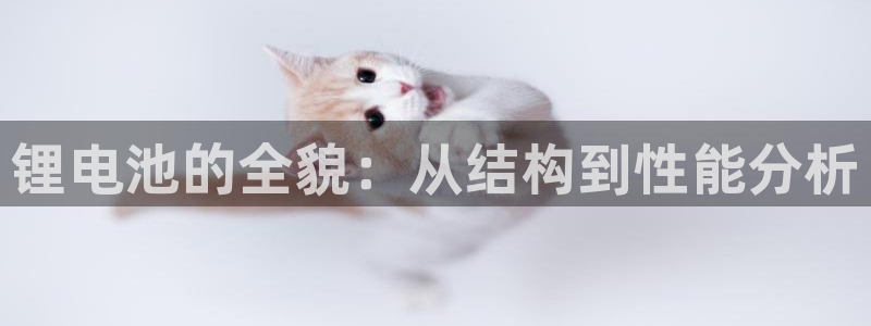 k 豆钱包app