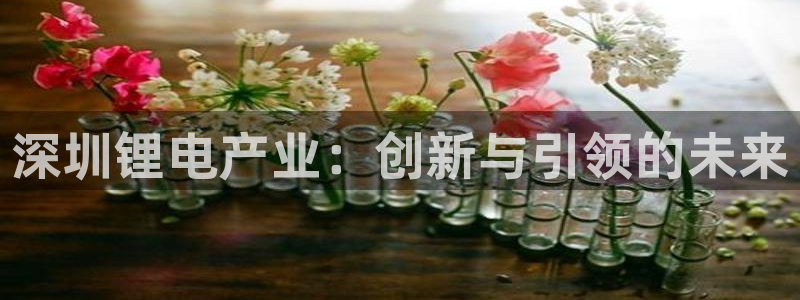 k豆钱包怎么下载