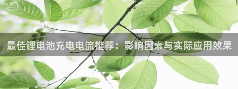 k 豆钱包4