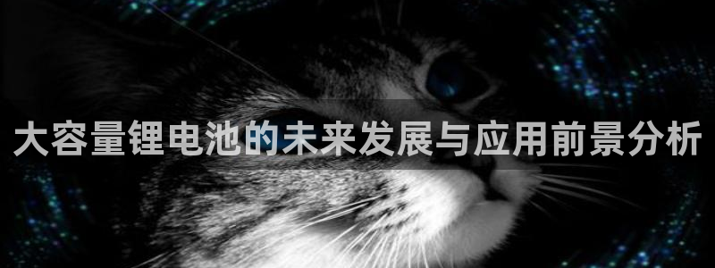 k豆钱包网址
