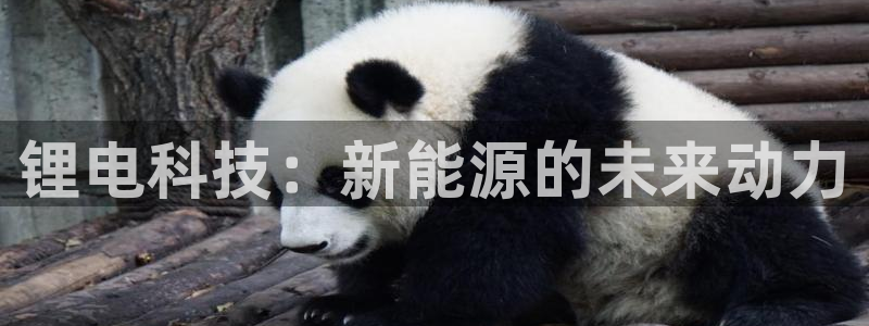 k豆钱包下载入口