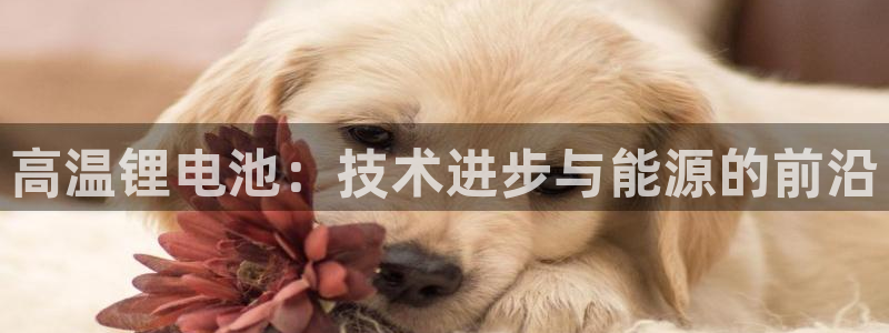k豆钱包靠谱吗