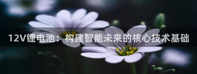 k豆钱包怎么样