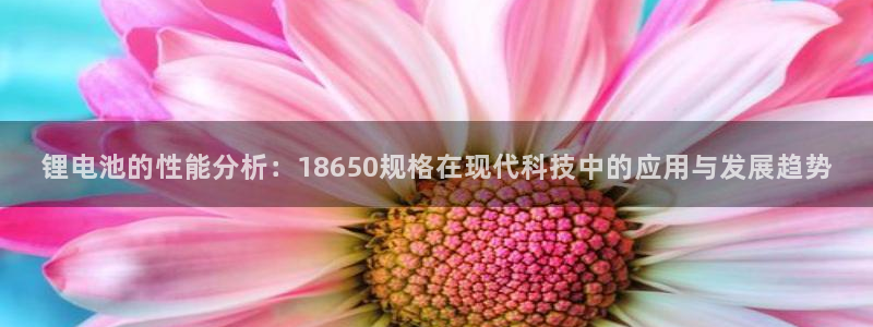 k豆钱包正式版
