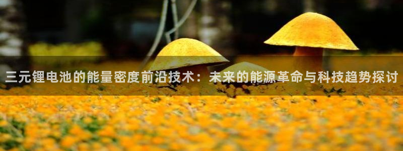 k豆钱包为什么下载不得呢