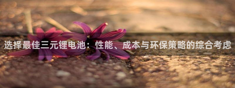 登陆k豆钱包