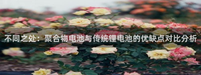 k豆钱包里