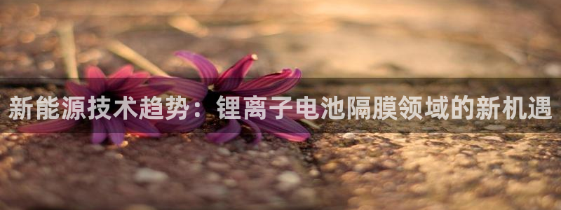 k d豆钱包