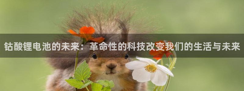 k 豆钱包