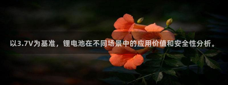 k豆钱包下载入口