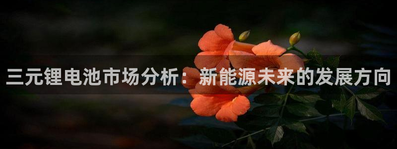 k豆钱包吧