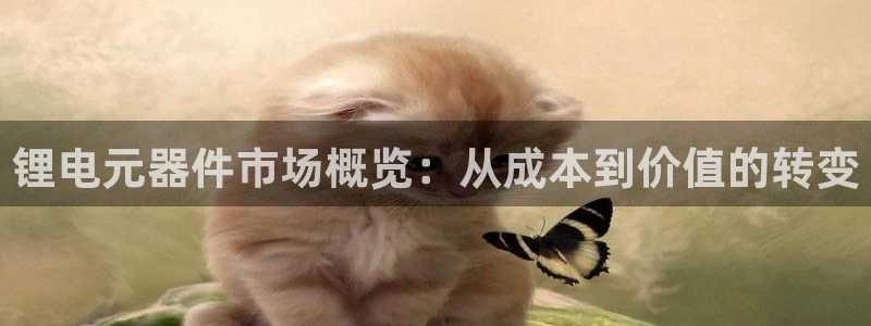 k豆pay钱包官网
