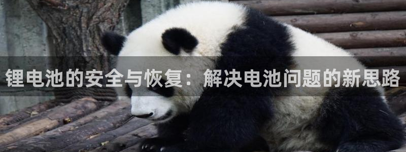怎么下载k豆钱包app