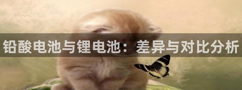 k豆钱包是正规的吗