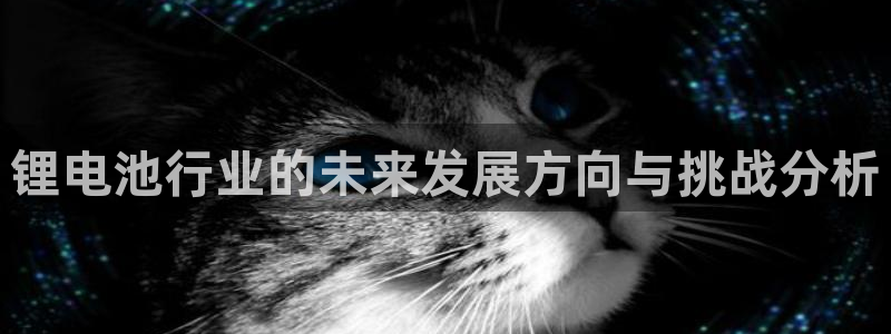 k豆钱包最新版本下载：锂电池行业的未来发展方向与挑战分析