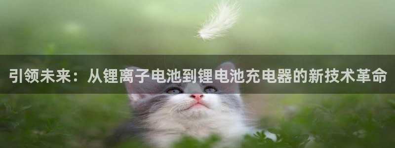 k豆钱包官网：引领未来：从锂离子电池到锂电池充电器的新技术革命