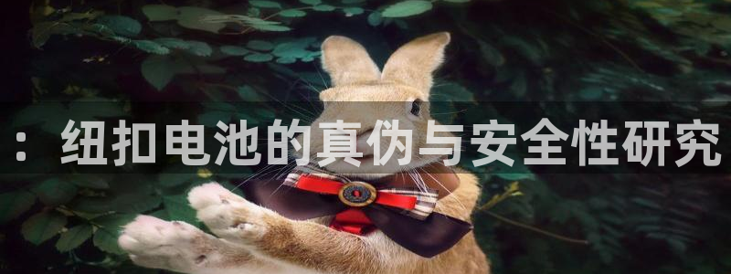 k豆钱包：：纽扣电池的真伪与安全性研究