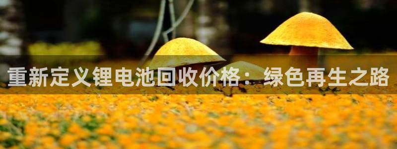 k豆钱包app：重新定义锂电池回收价格：绿色再生之路