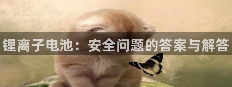 k豆钱包最新版本：锂离子电池：安全问题的答案与解答