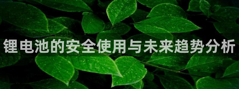 k 豆钱包app