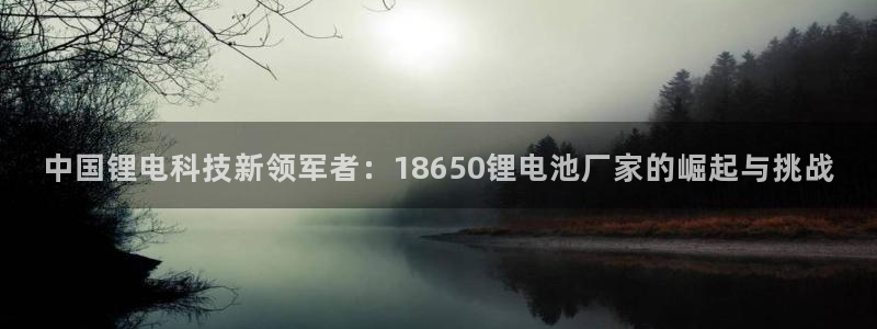 k豆钱包最新版本下载：中国锂电科技新领军者：18650锂电池厂家的崛起与挑战