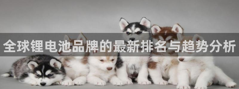 k豆钱包平台