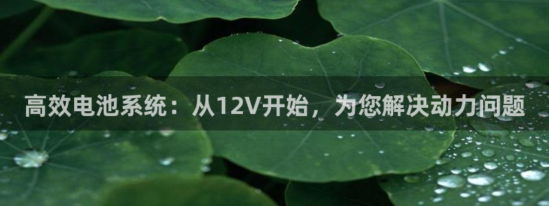 最新k豆钱包：高效电池系统：从12V开始，为您解决动力问题