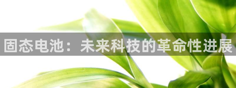 k豆钱包卖k豆犯法吗：固态电池：未来科技