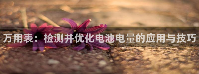 k豆钱包是正规的吗：万用表：检测并优化电
