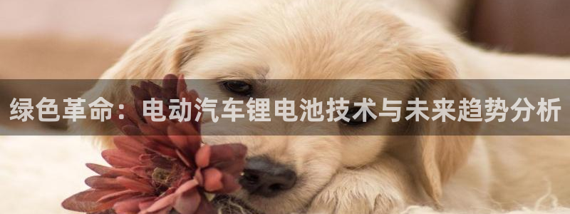 k豆钱包是正规平台吗